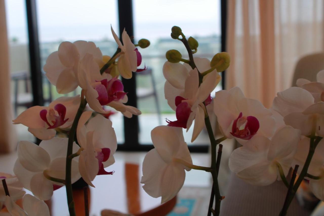 Villa Ocean View And Apartment Da Nang "Free Pick Up" Экстерьер фото